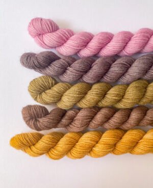 pack minis srt yarn - combi 09