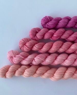 pack minis srt yarn - merino 04